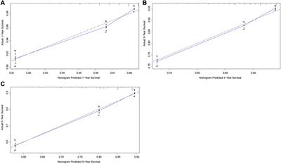 Development and validation of a prognostic nomogram for rectal cancer patients who underwent surgical resection